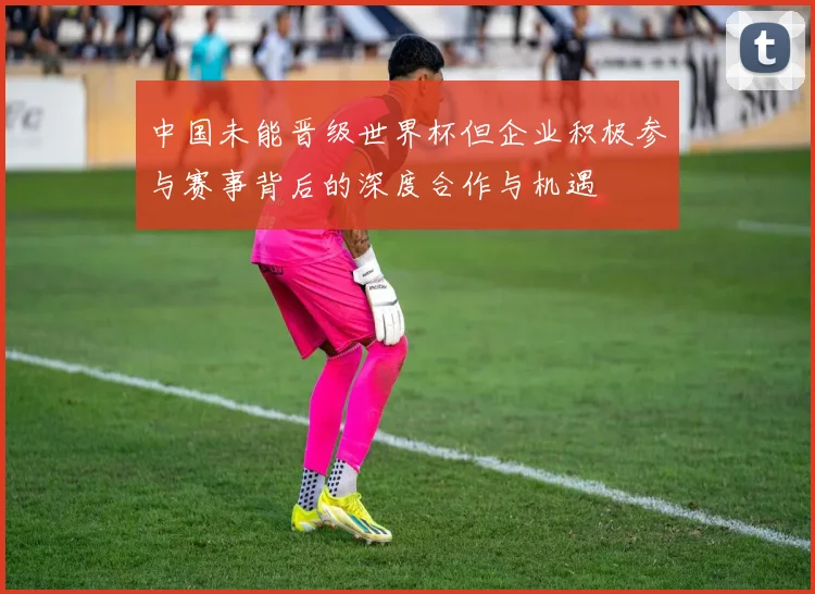 中国未能晋级世界杯但企业积极参与赛事背后的深度合作与机遇